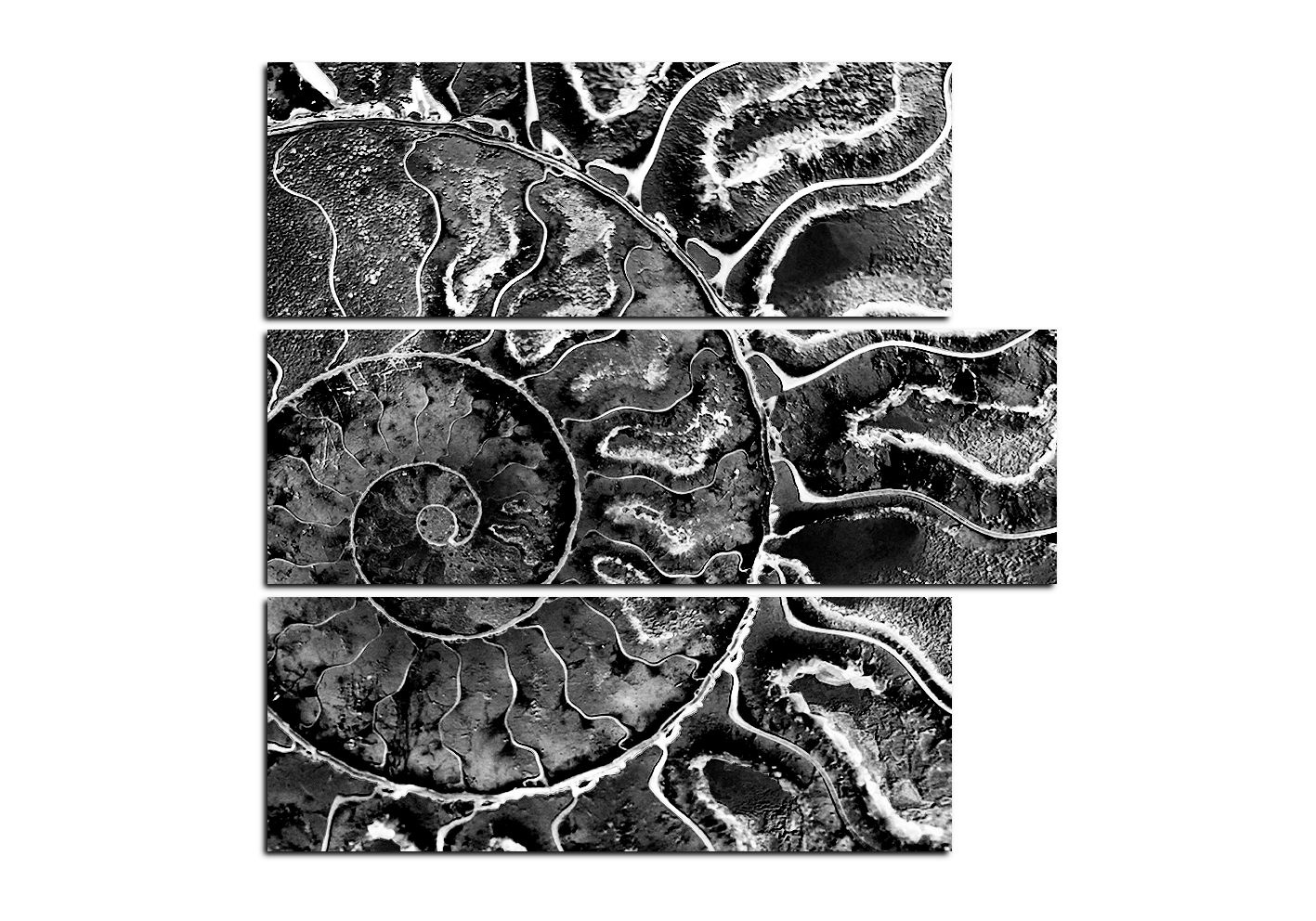 Obraz na plátně - Textura fosílie - čtverec Obraz na plátně - Textura fosílie - čtverec